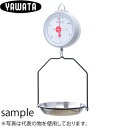 八幡計器 C-5-10kg ばね式吊り皿はかり ひょう量:10kg