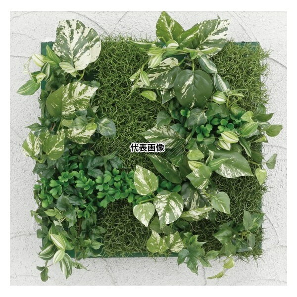 タカショー GD-201DF 33535000 壁面アレンジ D ポトス(フレーム付)45cm×45cm 室内用人工植物 フェイク..