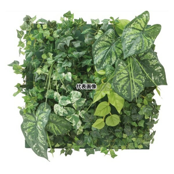 タカショー GD-201FF 33537400 壁面アレンジ F カラジューム(フレーム付)45cm×45cm 室内用人工植物 フ..