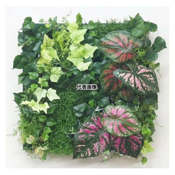 タカショー GD-201LF 21950600 壁面アレンジ LF カラジュームピンク(フレーム付)45cm×45cm 室内用人工植物 フェイクグリーン GD-201LF [法人限定]
