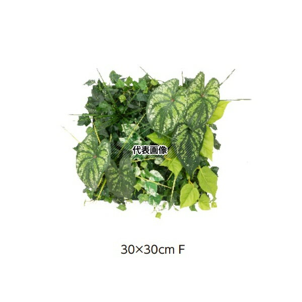 タカショー GD-203F 33172700 壁面アレンジ F カラジューム(フレーム無し)30cm×30cm 室内用人工植物 フェイクグリーン GD-203F [法人限定]