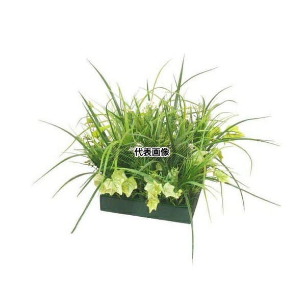 タカショー GD-223 33346200 山里セット カモミール 室内用人工植物 フェイクグリーン GD-223 [法人限定]