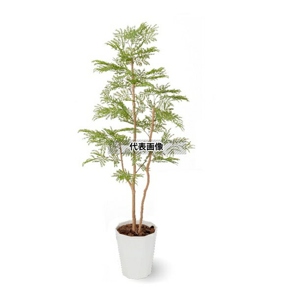 タカショー GD-238 21445700 エバーフレッシュ 鉢付 1.5m 室内用 観葉植物 人工植物 リビング 間仕切り..