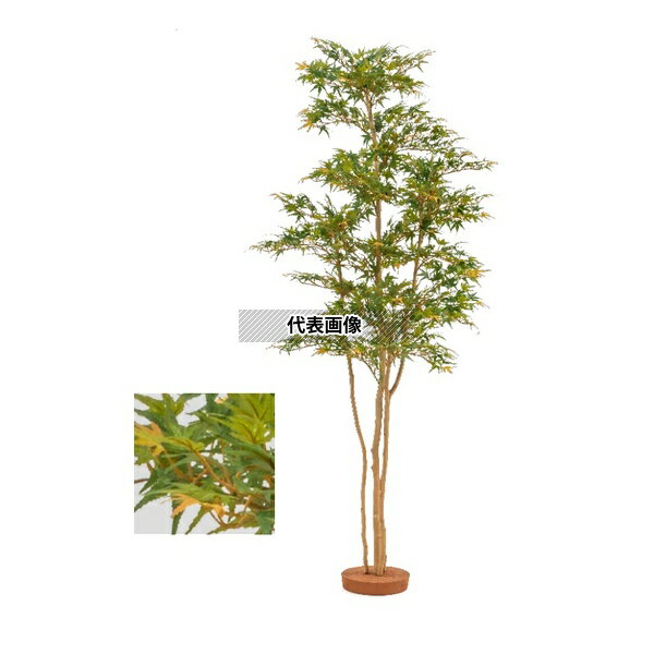 タカショー GD-242S 33394300 夏もみじ 鉢無 1.5m 室内用 和風もみじ 人工植物 GD-242S [法人限定]