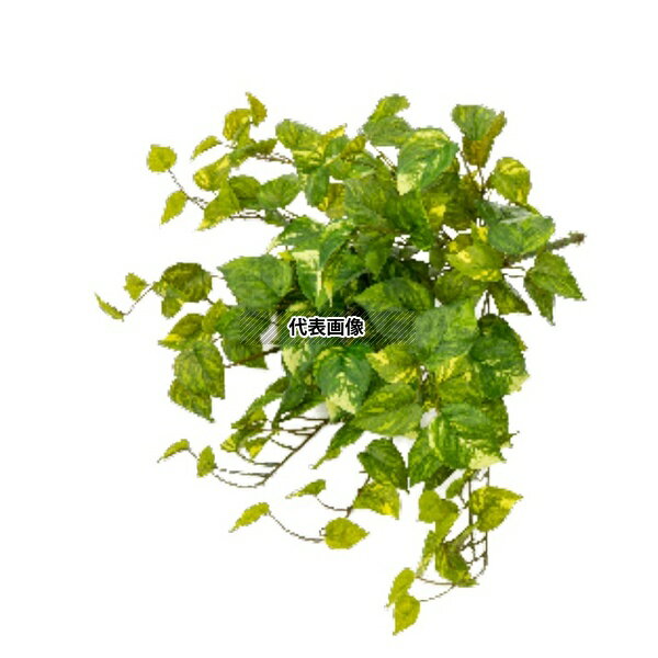 商品の特徴 タカショー GN-96 21679600 リアルポトス 室内用 観葉植物 人工植物 ハンギング 人工植物(ハンギング) ：空間にあわせてアレンジいろいろ 製品仕様 ●サイズ(cm):30 JANコード：4975149216796...