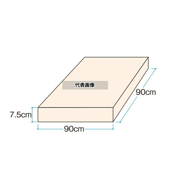 タカショー KS-90 95010200 硬質スチロール(敷床用) KS-90 [法人限定]