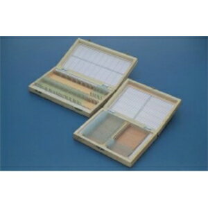 テラオカ　プレパラート標本箱木製　鉱物用BOX　：14-1380-24