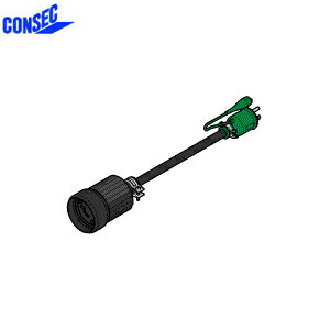 consec-001390150.jpg