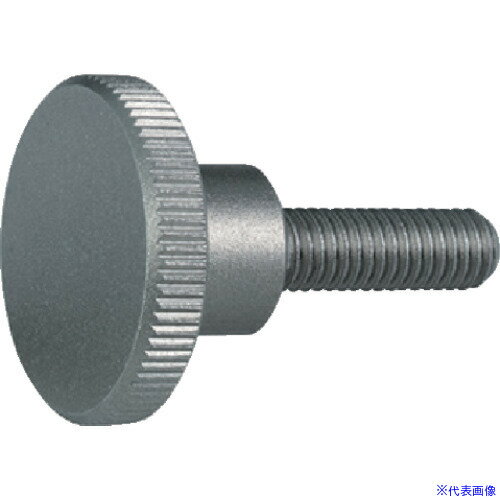 ■HALDER ロングヘッドナールドボルト DIN 464 ステンレス鋼 24790.0356(1068140)[送料別途お見積り][法人限定][掲外取寄]