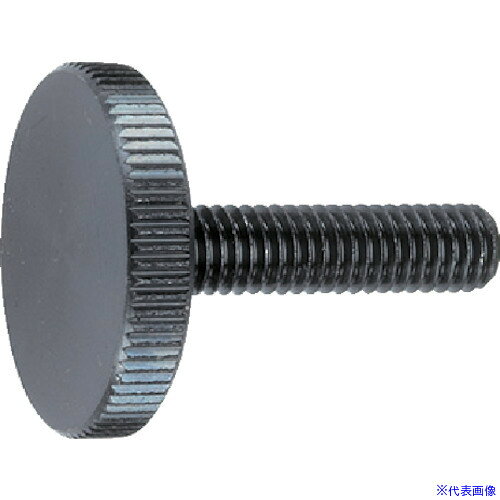 ■HALDER フラットナールドボルト DIN 653 スチール 24770.0112(1071298)[送料別途お見積り][法人限定][掲外取寄]