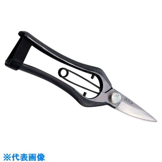 ��˭̭ ��§�� ���������� ��� HT2680(1114029)[�������Ӥ����Ѥ�][ˡ�͸���][�ǳ����]