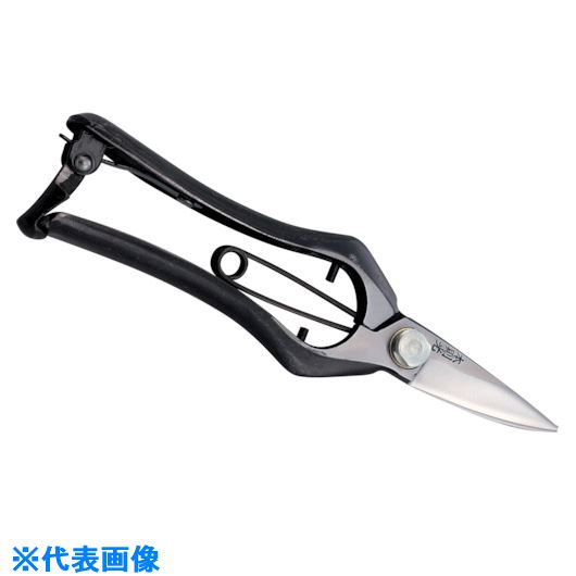 ��˭̭ ��§�� ���������� ��� HT2682(1114049)[�������Ӥ����Ѥ�][ˡ�͸���][�ǳ����]