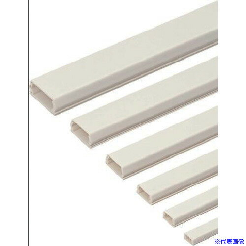 ��̤�� �ץ�⡼��4�桦�ơ����� PML4WT(1179787)