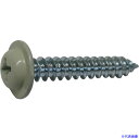 ■DAIDOHANT HP ワッシャータッピング ベージュ 4×20 4本入 10183922(1196380)