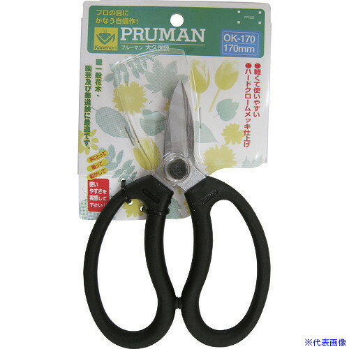 ��PRUMAN OK−170����ݷ��� OK170(1272850)[�������Ӥ����Ѥ�][ˡ�͸���][��ľ��]