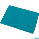 ■テラモト マイクロシャインクロスLサイズ CE4751023(1275745)