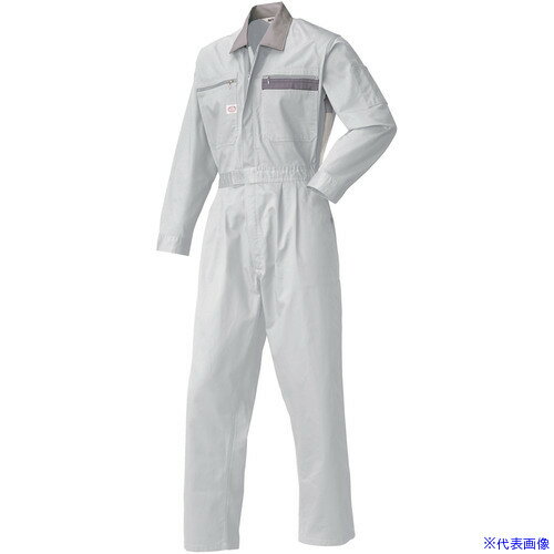  AUTO�|BI SS(�t��)���f�� �����Ȃ���5600�|008�V���o�[�O���[�|5L 56000085L(1370701)[�����ʓr�����ς�][�@�l����][�f�O���]