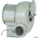 ■昭和 電動送風機 汎用シリーズ(0.04kW) SF55S(1384163)