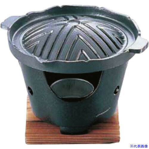 ��TKG ����ߥե��ǲù� 1���ѥ��󥮥��� QGV2401(1396101)[�������Ӥ����Ѥ�][ˡ�͸���][�ǳ����]