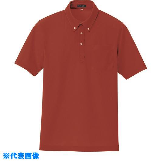 ■アイトス 吸汗速乾(クールコンフォート)半袖ボタンダウンポロシャツ(男女兼用) レッド 9 105990099(1450535)[送料別途お見積り][法人限定][掲外取寄]