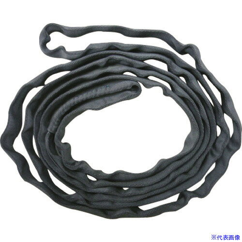 ■TESAC ブルースリングソフトN形(エンドレスタイプ)荷重0.5t 全長5m(JIS規格品) TBSN0.5TX5M(1480533)[送料別途お見積り][法人限定][直送]