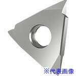 ■GUHRING 溝入れ工具 インサート 外径ねじ切り さらい刃付き メートルねじ用 GG305.VM00.125.AA.04.R 2566612.020(1805976)×2[送料別途お見積り][法人限定][掲外取寄]