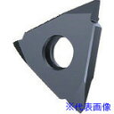 ■GUHRING 溝入れ工具 インサート 外径ねじ切り さらい刃なし メートルねじ用 TiCNコート GG305.TM00.100.AA.04.R 256561...