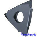 ■GUHRING 溝入れ工具 インサート 外径ねじ切り さらい刃なし メートルねじ用 FIREコート GG305.TM00.125.AA.04.L 256551...
