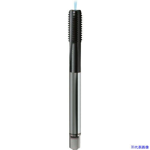 GUHRING ᡼ȥܤͤѥå 쥮TiCN M121.75 444812.000(1806254)[ӤѤ][ˡ͸][...