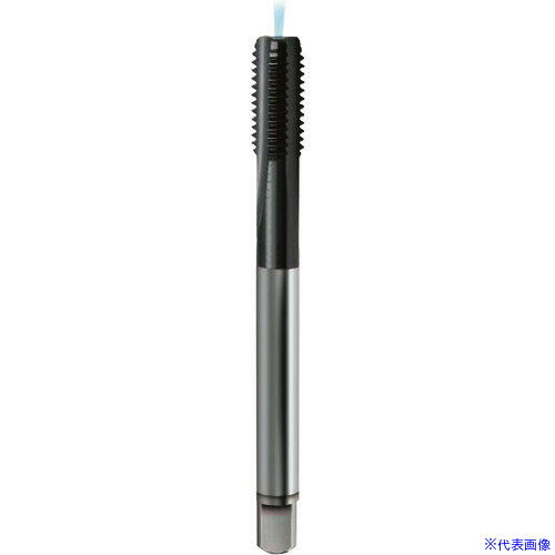 GUHRING ᡼ȥܤͤѥå 쥮TiCN M81.25 44488.000(1810989)[ӤѤ][ˡ͸][ǳ...