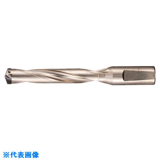 ■GUHRING 刃先交換式超硬ドリルホルダ5×D用 20.01〜21.00mm 524321.000(1826339)[送料別途お見積り][法人限定][掲外取寄]