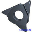 ■GUHRING 溝入れ工具 インサート 内外径フルR溝入れ加工用 FIREコート GE305.0110.055.AA.04.N 2561312.003(182...
