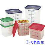 ��TKG �����֥� �ѷ��ա��ɥ���ƥʡ� ȾƩ�� 2SFSPP AHC381(1875003)[�������Ӥ����Ѥ�][ˡ�͸���][�ǳ����]
