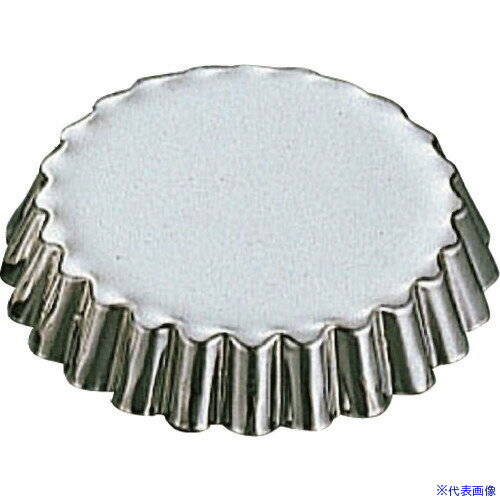 TKG ݻ ֥ꥭ ޥɥ졼̷ #550 WMD21(1919032)[ӸѤ][ˡ͡Ƚ][ǳ]
