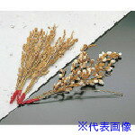 ��TKG ��ޥ��� ���� (100����) QIN11(1944282)[�������Ӹ��Ѥ�][ˡ�͡����Ƚ����][�ǳ����]