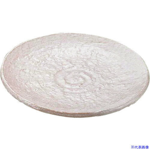 ��TKG ���ॺ����ѥ� �ۥ磻��5.0�ݻ� T03-112 RTLC901(1946760)[�������Ӹ��Ѥ�][ˡ�͡����Ƚ����][�ǳ����]