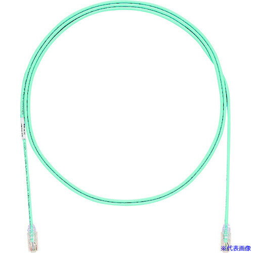 ��PANDUIT ���ƥ���6�ٷ¥ѥå������� 20m �ѥ��ƥ�֥롼 UTP28SP20MPB UTP28SP20MPB(1950545)