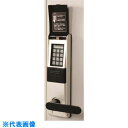 ■プラス 627451)KIテンキードア右外 KI-0920TD-RO...(3)
