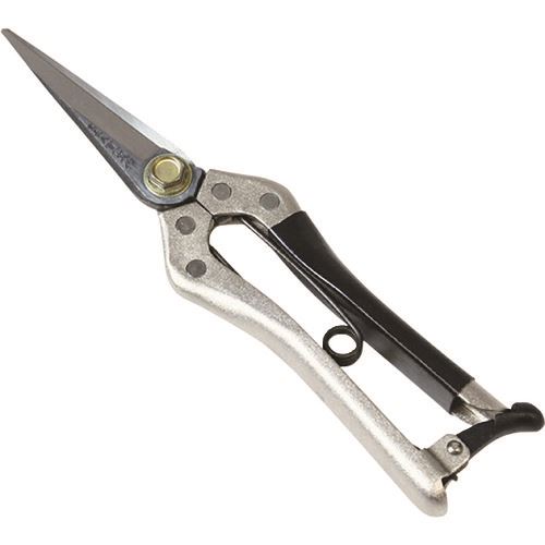 ����� ��Ĺ�״�ʸ�� ��Ĺ��������� 210mm 192022(1994112)[�������Ӥ����Ѥ�][ˡ�͸���][��ľ��]