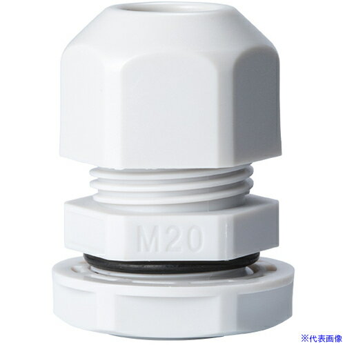 �������� M�ͥ������֥륰���� ����ʥ����� �饤�ȥ��졼 RM20S12S(2035120)