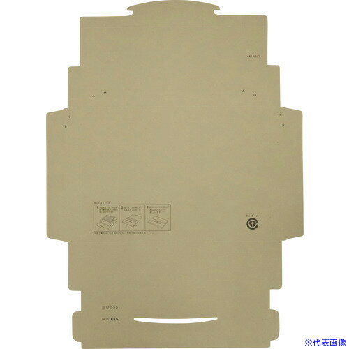 ■キングコーポ ポストインカートン A4 50枚入 190431(2080667)