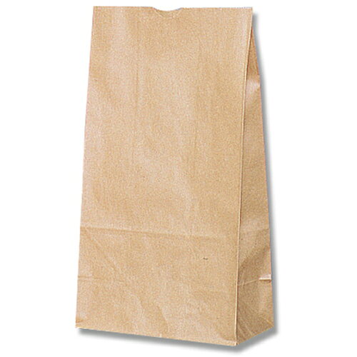 ■HEIKO 角底袋 未晒無地 No.6 100枚入り 004010600(2133014)[送料別途お見積り][法人限定][掲外取寄]