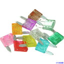 ■アストロプロダクツ 100PC ミニオートヒューズセット 2005000004421(2149523)
