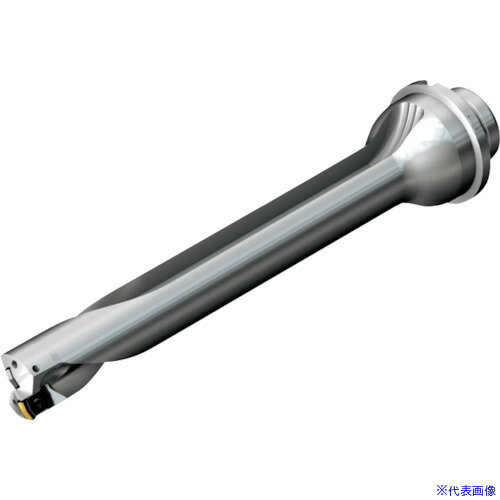 ■SANDVIK コロドリルDS20刃先交換式ドリル(465) DS20D2500DM2507(2164162)[送料別途お見積り][法人限定][メーカー取寄]