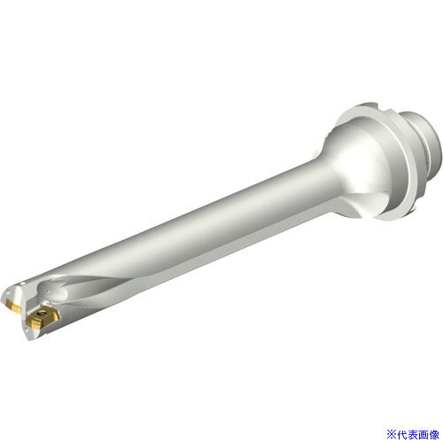 ■SANDVIK コロドリルDS20刃先交換式ドリル(465) DS20D1905DM2507(2165652)[送料別途お見積り][法人限定][メーカー取寄]