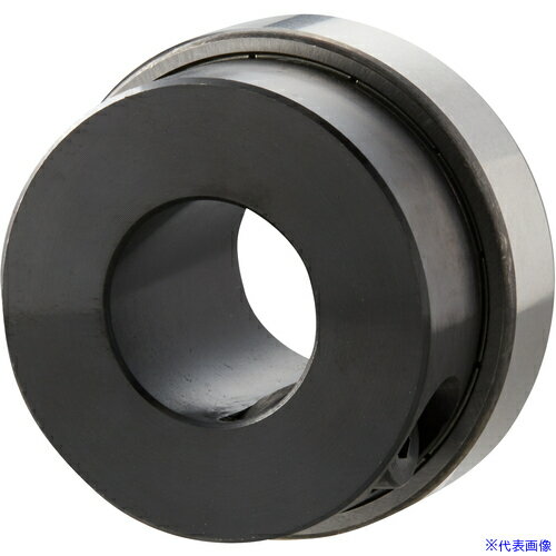 ■IWATA ベアリングローラー シャフト用 BC25C-6007(2232588)[送料別途お見積り][法人限定][掲外取寄]