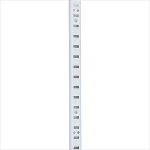 オレンジブック トラスコ中山　TRUSCOSUGATSUNE (120042501)255−72−WH/棚柱 〔品番:25572WH〕[ 注番:2242423]特長●棚板の高さ調整が12.7mmピッチで行えます。●粉体焼付塗装仕上のため塗膜が厚く丈夫です。仕様仕様2●粉体焼付塗装：ホワイト材質/仕上セット内容/付属品注意原産国（名称）アメリカJANコード本体質量286gオレンジブック トラスコ中山　TRUSCOSUGATSUNE (120042501)255−72−WH/棚柱 〔品番:25572WH〕[注番:2242423][本体質量：286g]分類》金物・建築資材》建築金物》棚受金具☆納期情報：メーカー取り寄品（弊社より発送）