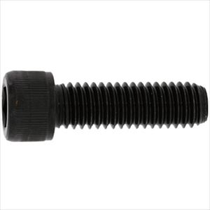 ■SUNCO ステンCAP(UNC#10−24X2”(100本入) A00200307100820000(2409288)[送料別途お見積り][法人限定][掲外取寄]