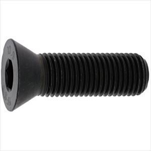 オレンジブック トラスコ中山　TRUSCOSUNCO BK SUSサラCAP 5×16 (500本入) 〔品番:A00220000050016008〕[ 注番:2410645]特長仕様●ねじ径(mm)：M5●ねじ長さ(mm)：16仕様2材質/仕上●ステンレス(303、304、XM7等)セット内容/付属品注意原産国（名称）日本JANコード4547733932971本体質量1.275kgオレンジブック トラスコ中山　TRUSCOSUNCO BK SUSサラCAP 5×16 (500本入) 〔品番:A00220000050016008〕[注番:2410645][本体質量：1.275kg]《包装時基本サイズ：165×125×70》〔包装時質量：1275g〕分類》金物・建築資材》ねじ・ボルト・ナット》六角穴付ボルト☆納期情報：メーカー取り寄品（弊社より発送）