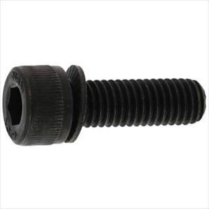 SUNCO 10.9 NHեƥå 10 X 20 (100) A000900N0100020000(2411941)[ӤѤ][ˡ͸][ǳ]